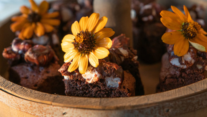 Mississippi Mud Cake Bites